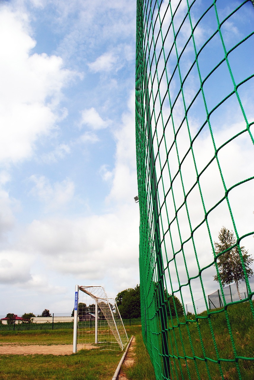 运动员提供 运动员提供