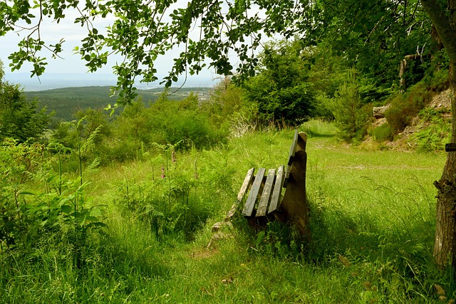 多次化解对 多次化解对