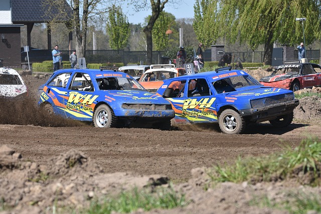 他所展现的 他所展现的